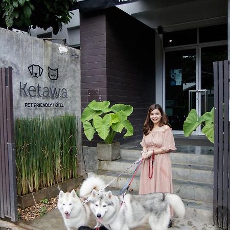 Ketawa Pet Friendly Hotel Τσιάνγκ Μάι Εξωτερικό φωτογραφία
