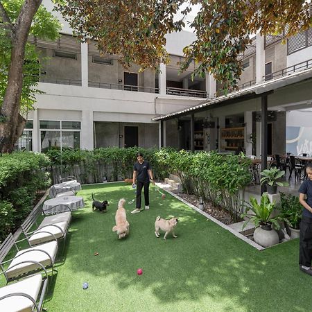 Ketawa Pet Friendly Hotel Τσιάνγκ Μάι Εξωτερικό φωτογραφία