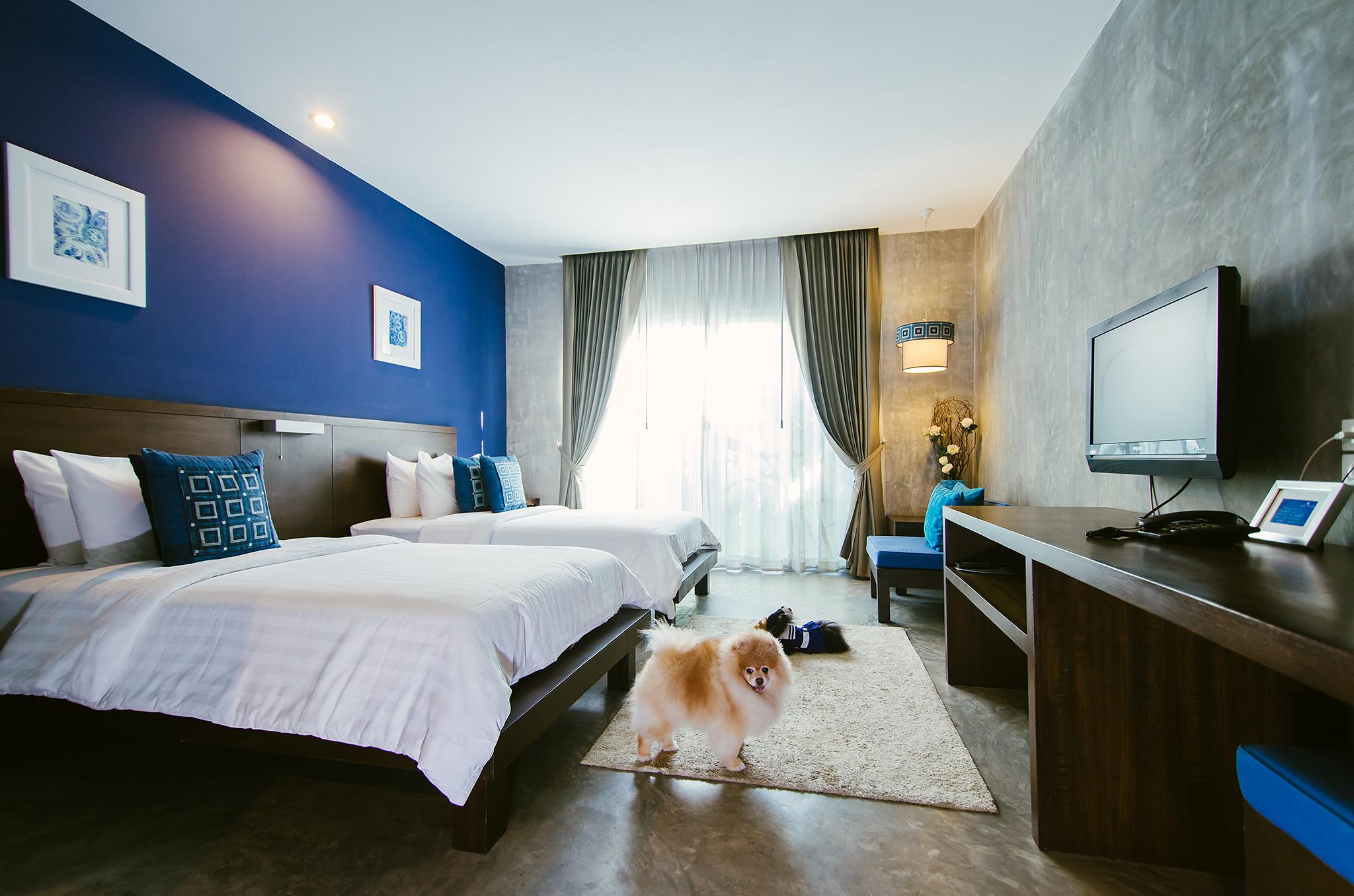 Ketawa Pet Friendly Hotel Τσιάνγκ Μάι Εξωτερικό φωτογραφία