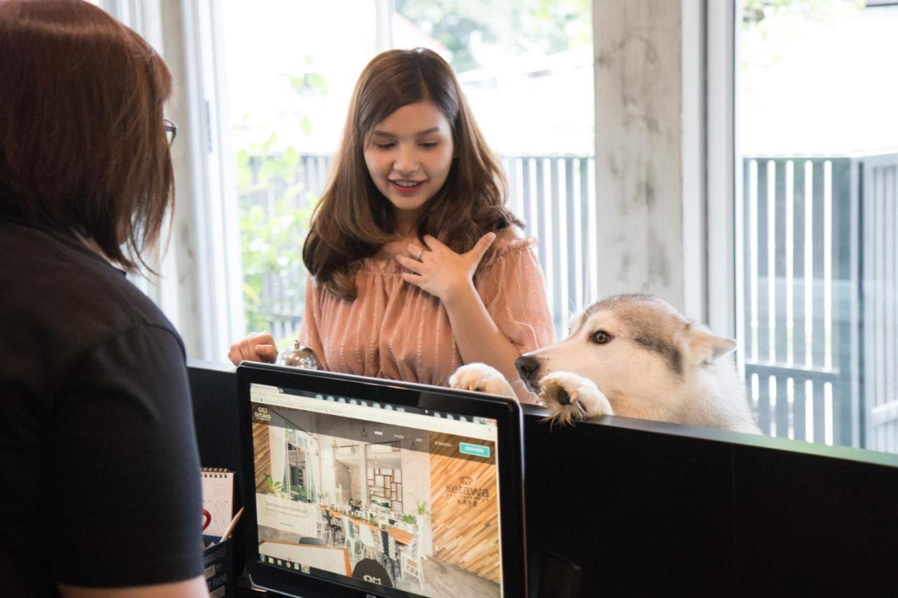 Ketawa Pet Friendly Hotel Τσιάνγκ Μάι Εξωτερικό φωτογραφία