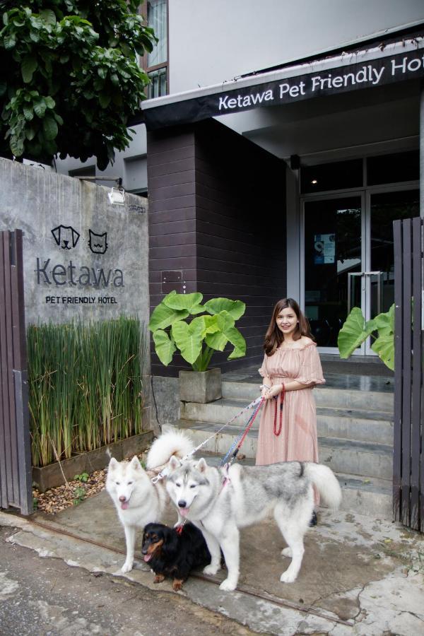 Ketawa Pet Friendly Hotel Τσιάνγκ Μάι Εξωτερικό φωτογραφία