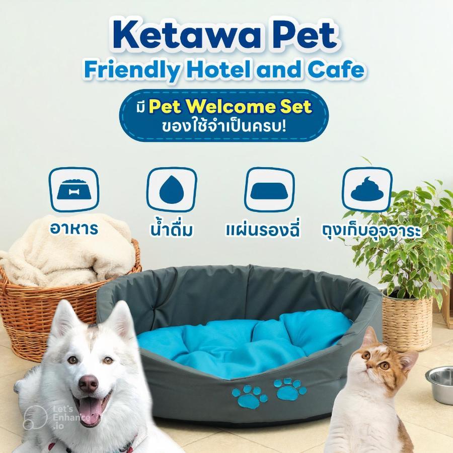 Ketawa Pet Friendly Hotel Τσιάνγκ Μάι Εξωτερικό φωτογραφία