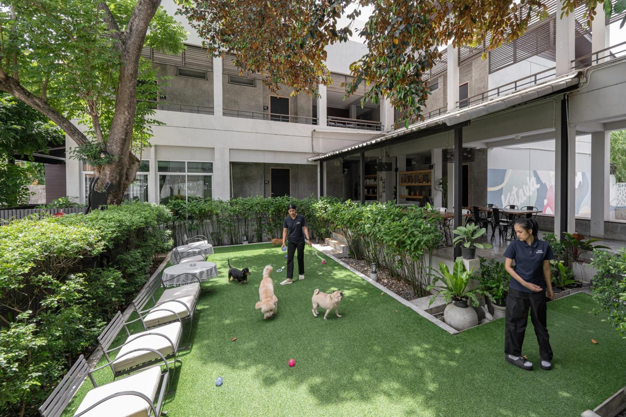 Ketawa Pet Friendly Hotel Τσιάνγκ Μάι Εξωτερικό φωτογραφία