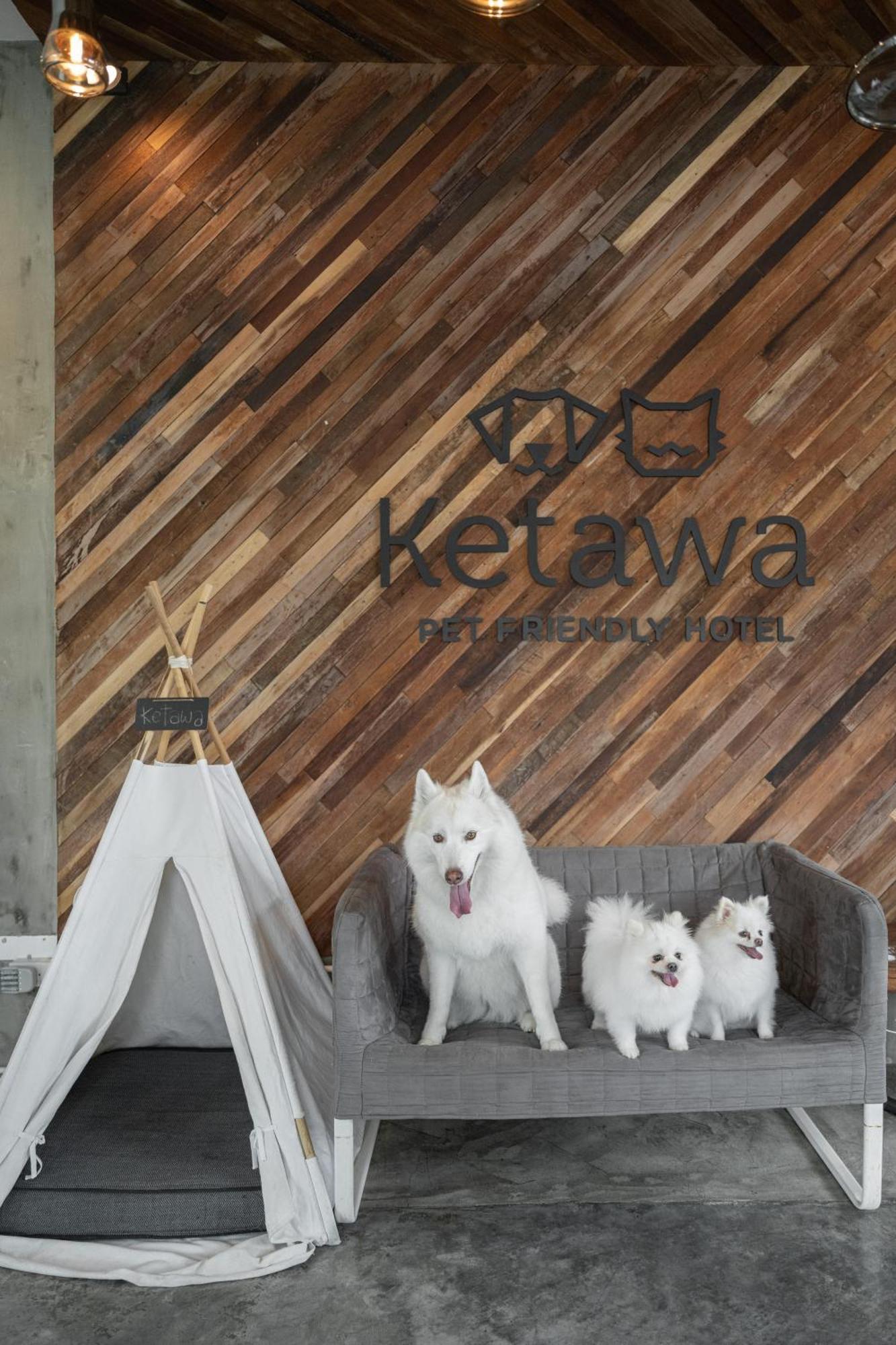 Ketawa Pet Friendly Hotel Τσιάνγκ Μάι Εξωτερικό φωτογραφία