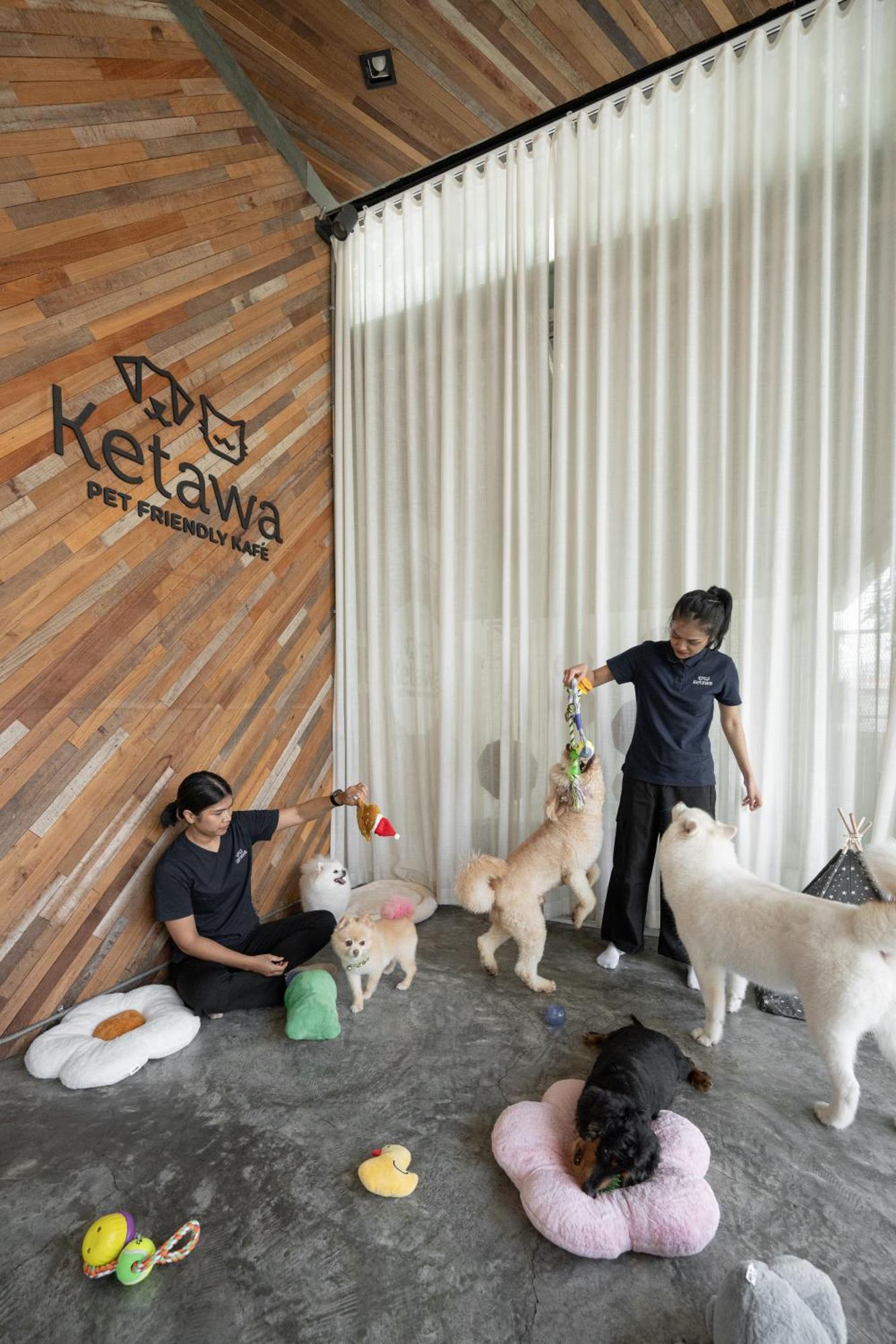 Ketawa Pet Friendly Hotel Τσιάνγκ Μάι Εξωτερικό φωτογραφία