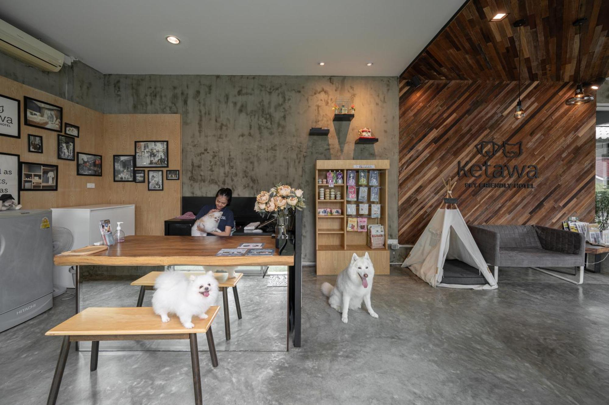 Ketawa Pet Friendly Hotel Τσιάνγκ Μάι Εξωτερικό φωτογραφία