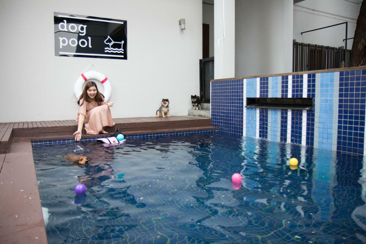 Ketawa Pet Friendly Hotel Τσιάνγκ Μάι Εξωτερικό φωτογραφία